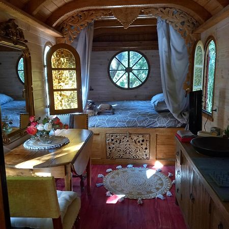 La Roulotte Du Petit Paradis Saint-Rémy-de-Provence エクステリア 写真