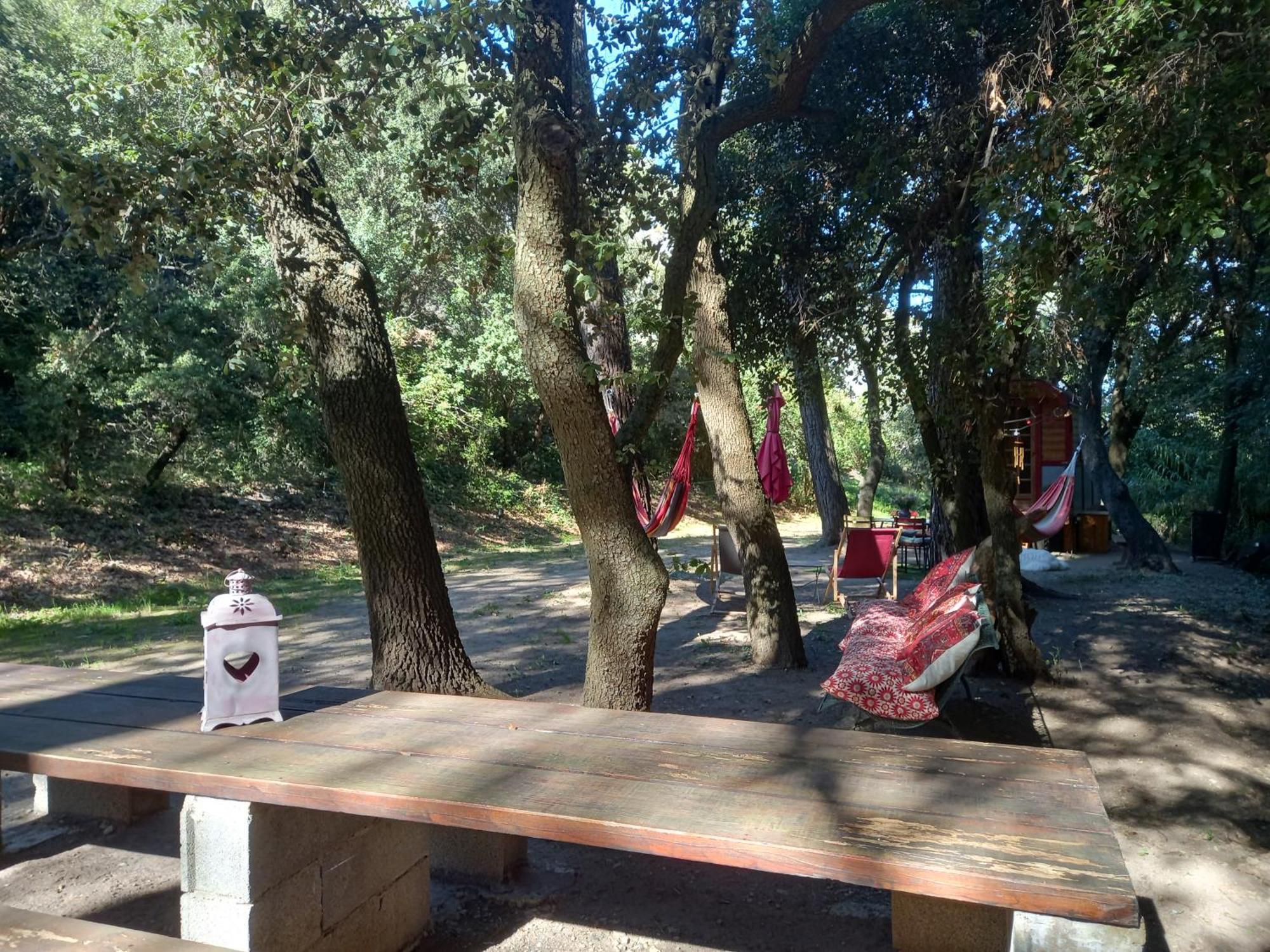 La Roulotte Du Petit Paradis Saint-Rémy-de-Provence エクステリア 写真