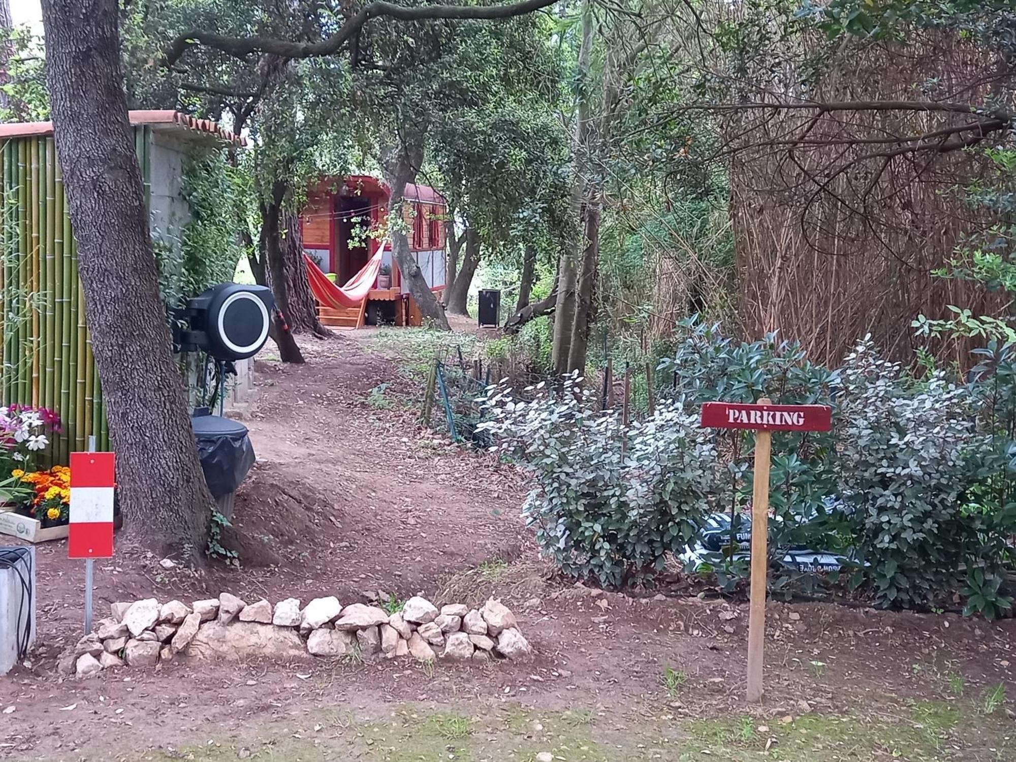 La Roulotte Du Petit Paradis Saint-Rémy-de-Provence エクステリア 写真