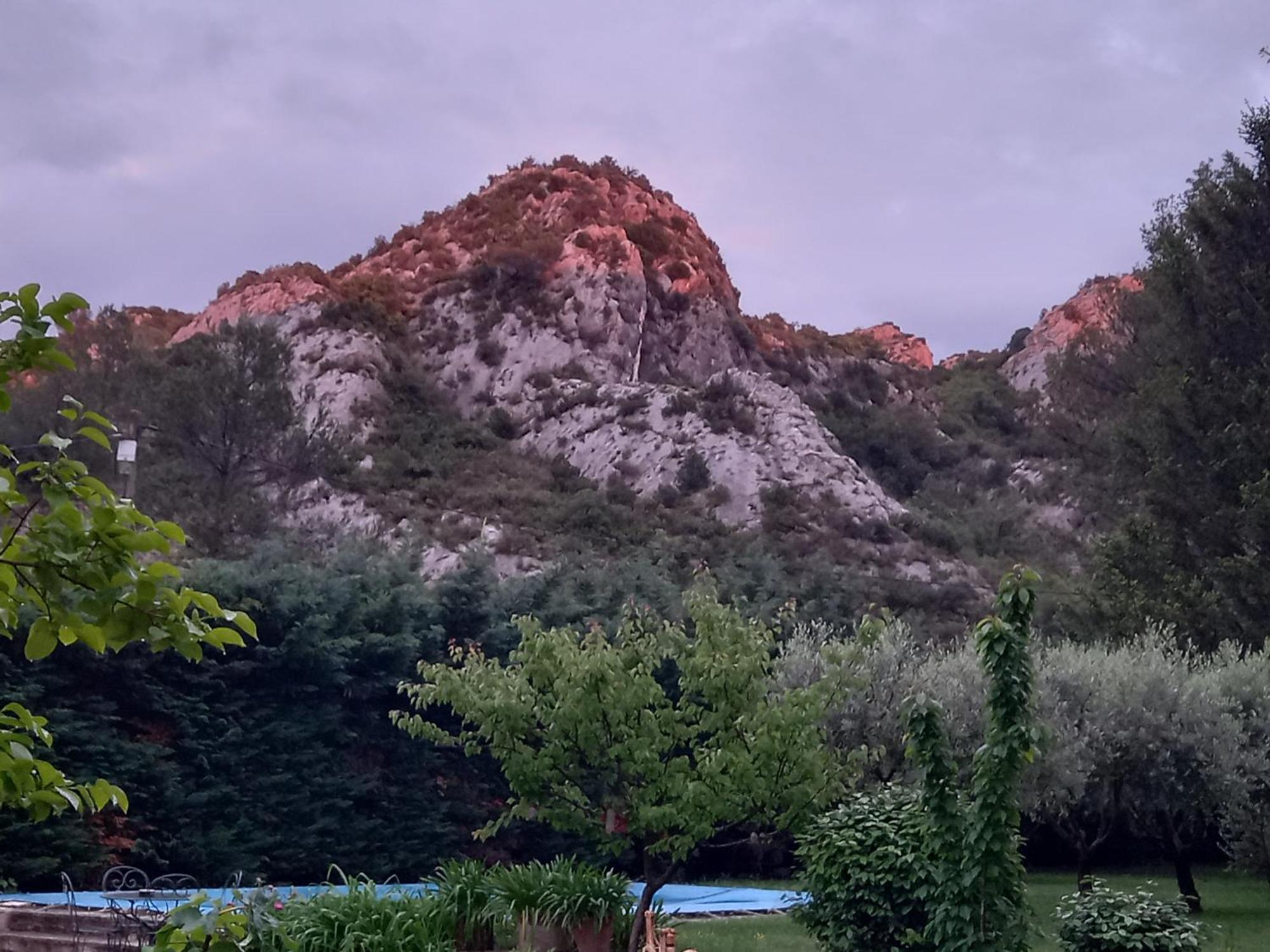 La Roulotte Du Petit Paradis Saint-Rémy-de-Provence エクステリア 写真