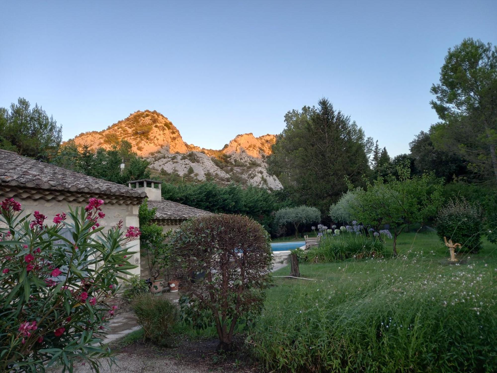 La Roulotte Du Petit Paradis Saint-Rémy-de-Provence エクステリア 写真