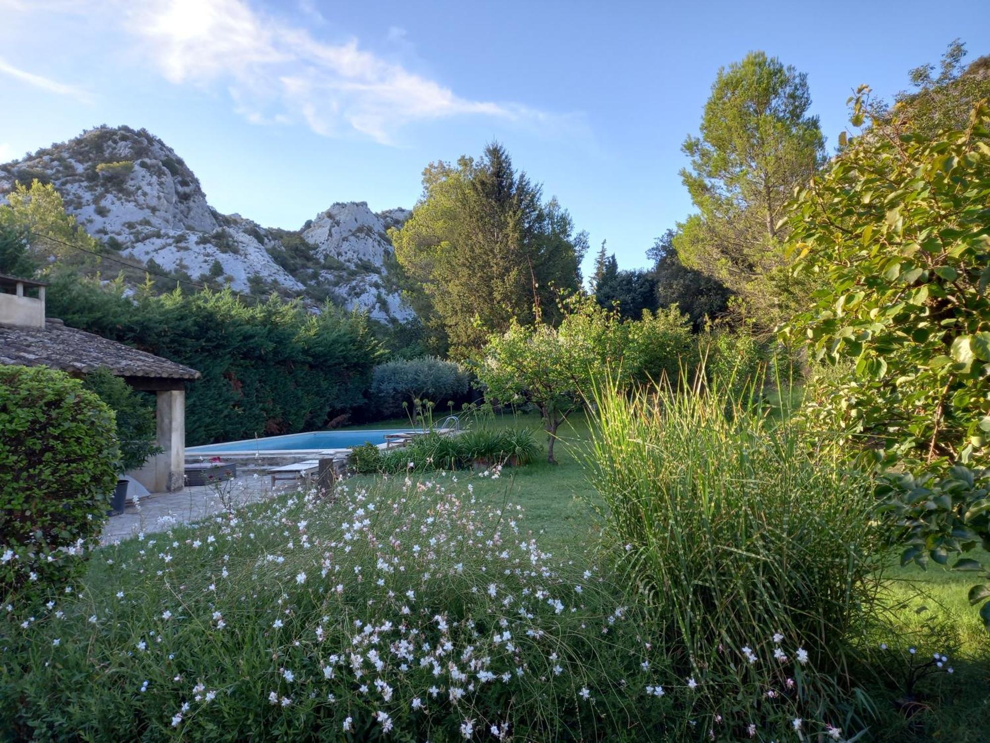La Roulotte Du Petit Paradis Saint-Rémy-de-Provence エクステリア 写真